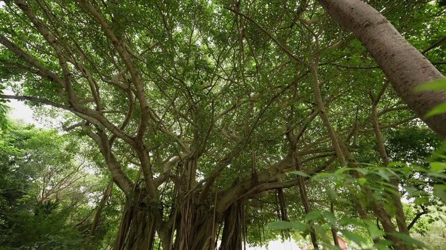 DeeringCoralGables_Sony23_15