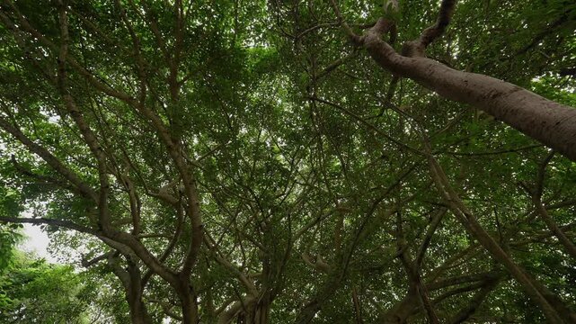 DeeringCoralGables_Sony23_14