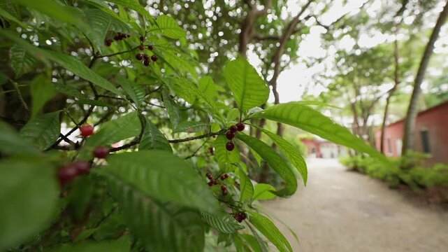 DeeringCoralGables_Sony23_17