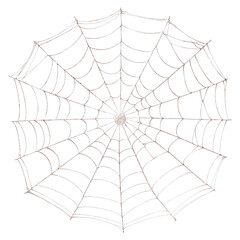 Obraz premium Intricate Web of a Spider Captured in Natural Habitat isolated on transparent background.