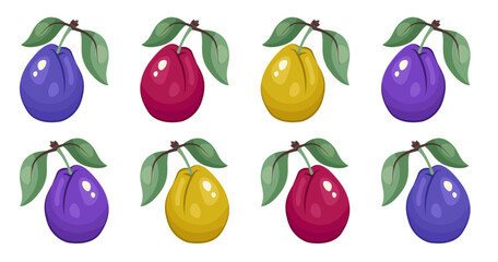 Plum icon. Set of plums with leaves isolated on white background. Various Color plums close up. Fruits stickers. Sweet healthy vitamin. Vector illustration for packaging, print, organic food, clipart