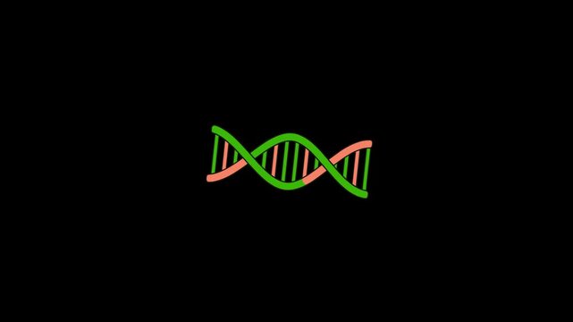 A stylized 2D animation of a DNA double helix rotating horizontally. This medical visualization uses a green and orange color palette against a solid black background, ideal for science and genetic re