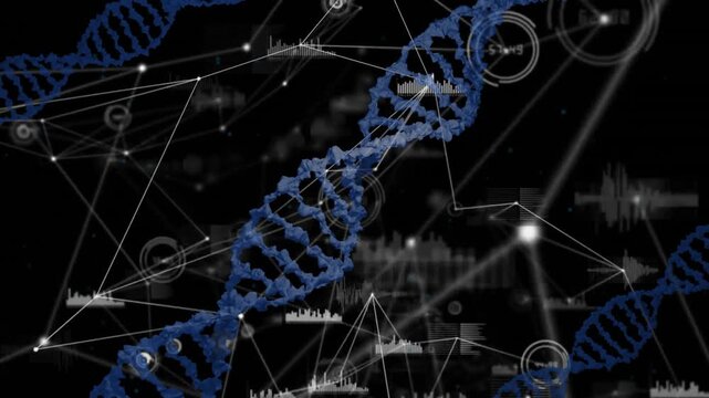 Blue DNA helix entering left forming network infographics pulsing data visualizing genomics - Powered by Adobe