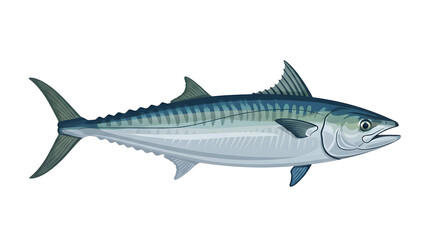 Naklejka premium Atlantic Mackerel Illustration on White Background, Fish Art, Marine Life
