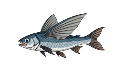 Flying Fish Illustration Isolated on White Background Marine Animal Wildlife