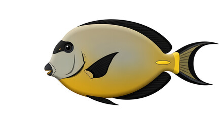 Yellow Tang Fish Isolated on White Background, Marine Animal Illustration