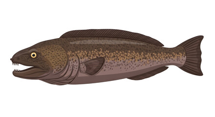 Illustration of a fierce-looking fish with sharp teeth, side view, aquatic animal