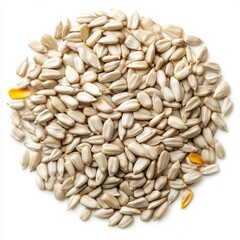 Top view of a generous amount of hulled sunflower seeds (no shell), forming a large irregular organic circle, as if naturally scattered. Seeds must be whole, unbroken, clean, and uniform in shape.