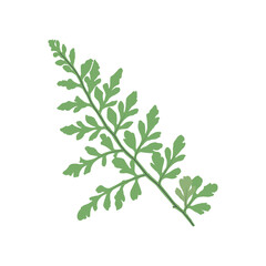 bunch of fresh herbs