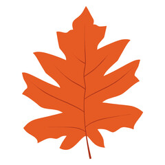 Fototapeta premium Leaves leaf illustration design vector