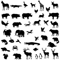 wild animals silhouettes collection of diverse animals including mammals birds reptiles 