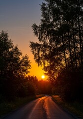 Sunset Country Road with Silhouetted Trees