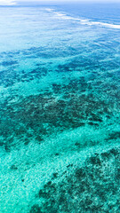 Ningaloo reef Western Australia 