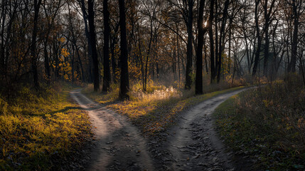 Fototapeta premium A forked path through a golden autumn forest, symbolizing life's choices under soft sunlight.