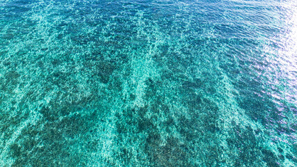 Ningaloo reef Western Australia 