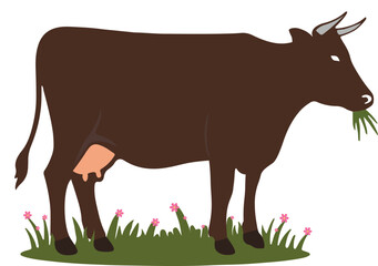 A simple flat vector illustration of a brown cow eating grass on a flower-filled green field. Designed in a clean, minimal style, perfect for agricultural themes, educational materials, and children&rsquo;s