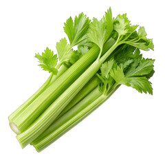 Fresh green celery stalks with leafy tops isolated on transparent background