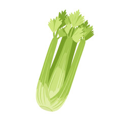 Fresh green celery stalks arranged with vibrant leaves, ideal for healthy recipes