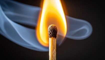 A single matchstick aflame—bright against darkness, smoke swirling like memory. A ritual of ignition, transformation, and vanishing.