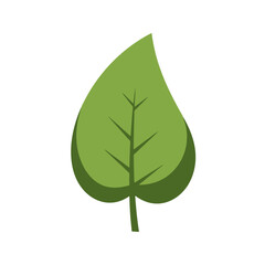 Simple Green Leaf Vector Illustration