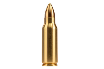 A bullet is sitting on a white background
