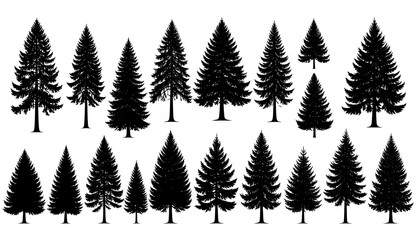 Obraz premium Collection of black silhouette pine trees