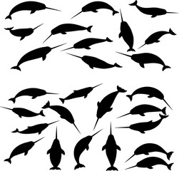 A collection of black silhouette illustrations depicting narwhals in various swimming poses, showcasing their distinctive tusks. © Adji
