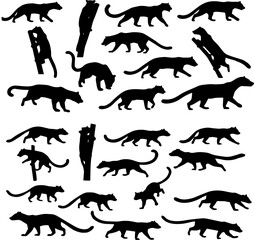 An array of black panther silhouettes in various poses, including walking, crouching, and leaping, against a white background.