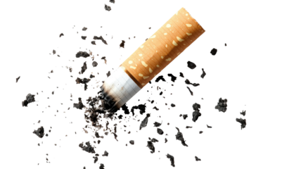 Used cigarette butt with ash isolated on white background
