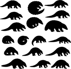 Collection of pangolin silhouettes in various poses, including standing, walking, and curled up defensively.