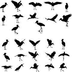 A collection of heron silhouettes in various poses, including standing, flying, landing, and preening.