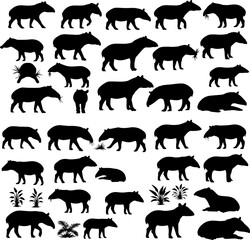 Silhouette collection of tapirs in various poses, including standing, walking, grazing, and lying down, with some vegetation elements.