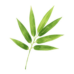  watercolor of bamboo leaf