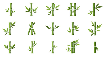 Bamboo Stalks: Green Asian Plant Vector Set