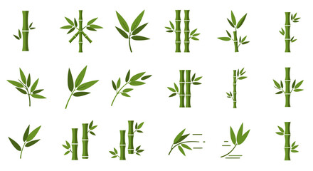 Bamboo Vector Set: Green Stalks and Leaves Graphics