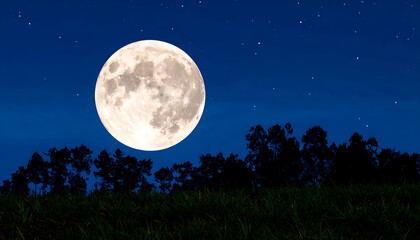 Full Moon Night Sky Trees.