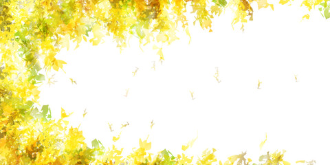 紅葉　秋　葉　背景