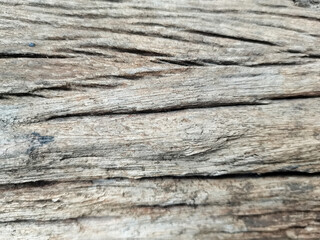 old wood texture