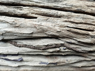 old wood background