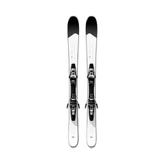 Pair of Modern Skis with Bindings - Top View