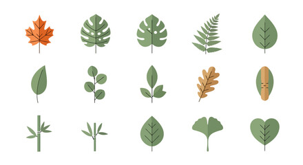 Diverse Leaf Collection: Botanical Flat Vector Icons