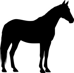 Horse silhouette vector illustration. EPS version.