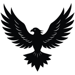 Obraz premium Black eagle spread wings silhouette bird