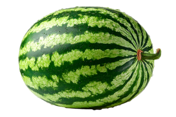 Fresh whole watermelon on a transparent backdrop perfect for summer refreshments