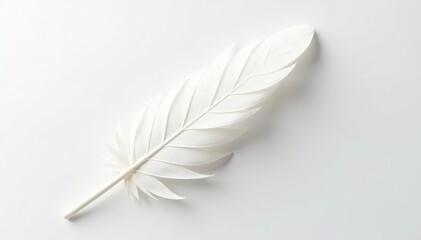 Obraz premium Crisp white feathers against stark white backdrop, abstract, smooth, stock