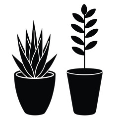 Potted plants silhouette succulent leafy plant