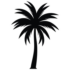 Tropical palm tree silhouette nature black