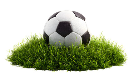 Classic Soccer Ball on Green Grass Patch Isolated on Transparent Background Image