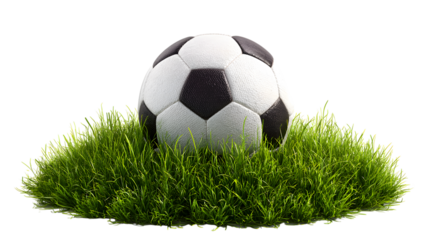 Classic Soccer Ball on Green Grass Patch Isolated on Transparent Background Image