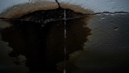 Leaking water from a cracked ceiling causes water damage and mold, a home repair issue. - Powered by Adobe